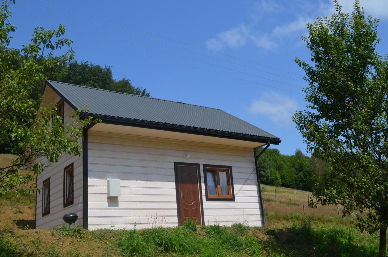 Domek Zacisze Gor Slonnych Tyrawa Woloska Exteriér fotografie