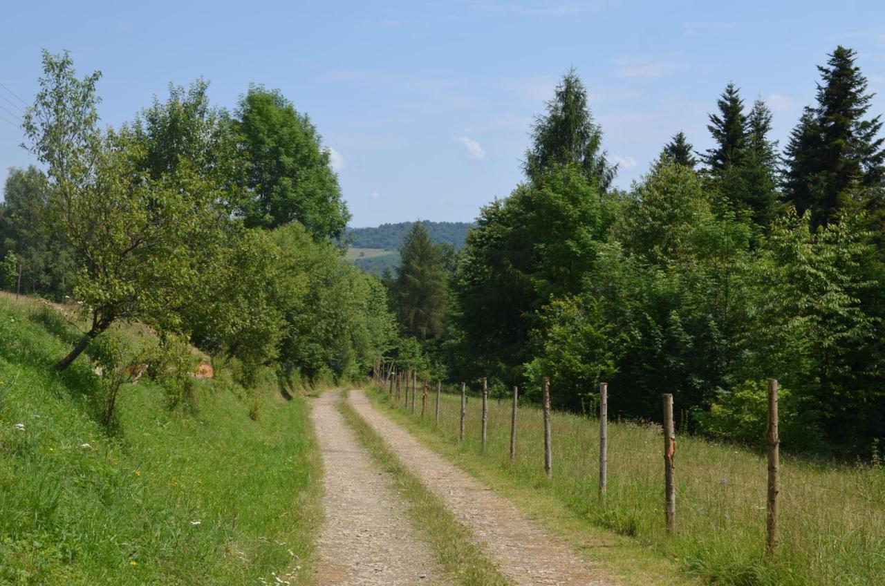 Domek Zacisze Gor Slonnych Tyrawa Woloska Exteriér fotografie